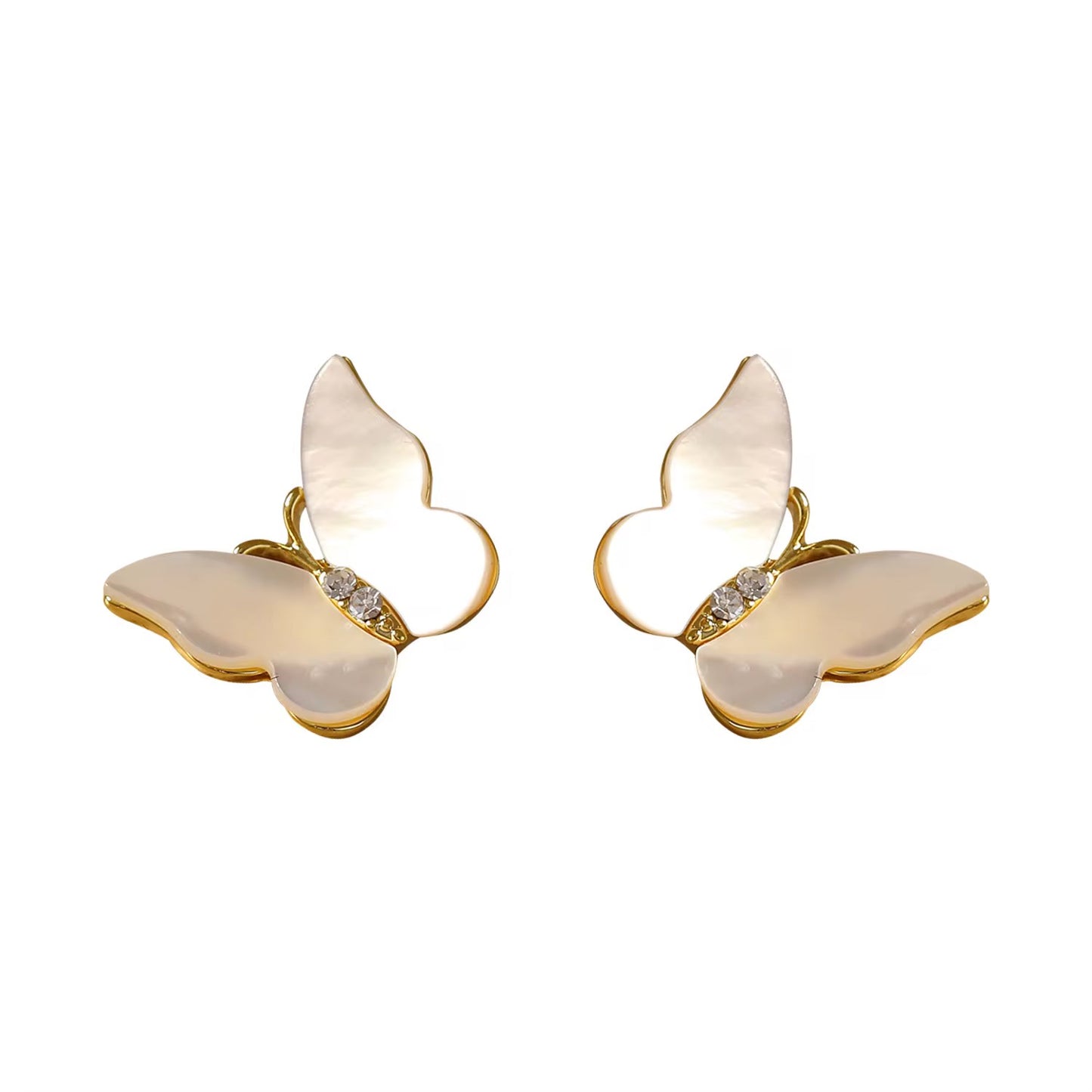 White Shell Butterfly Designer